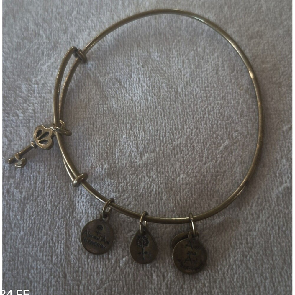 Alex and Ani Skeleton Key Charm Bangle Bracelet Rafaelian Gold Finish Expandable